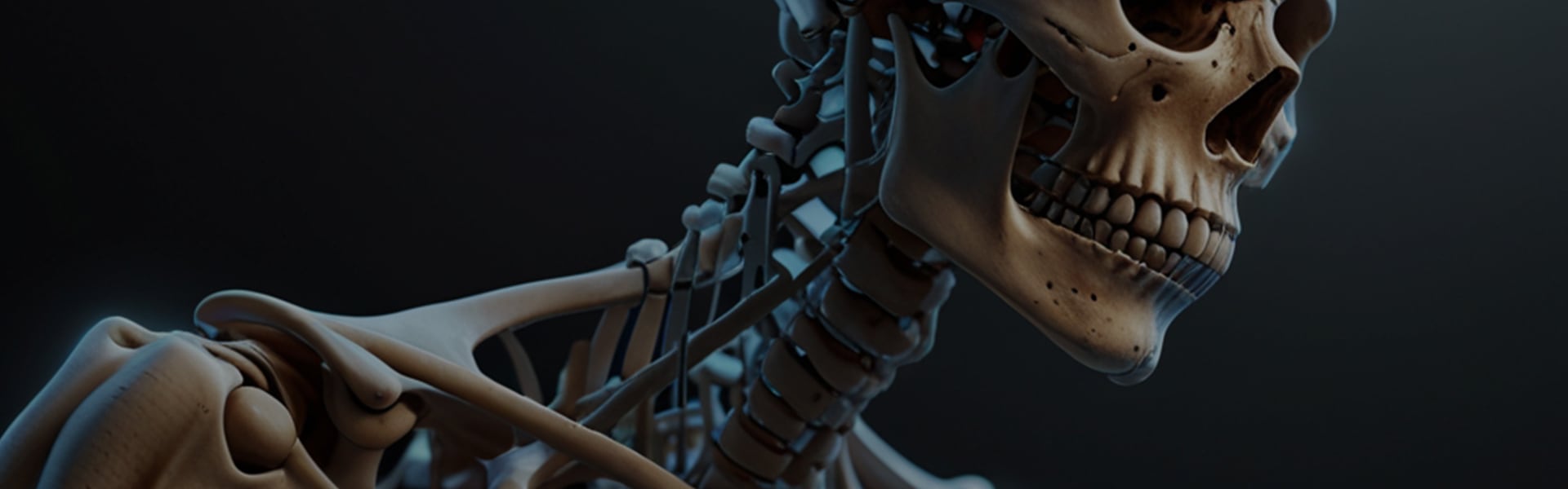 Servicios de rayos X portátiles a domicilio en Chihuahua