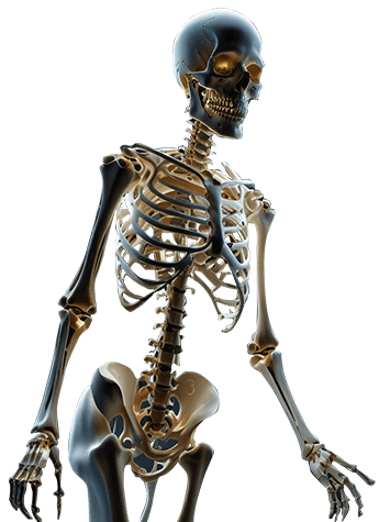 Servicios de rayos X portátiles a domicilio en Chihuahua